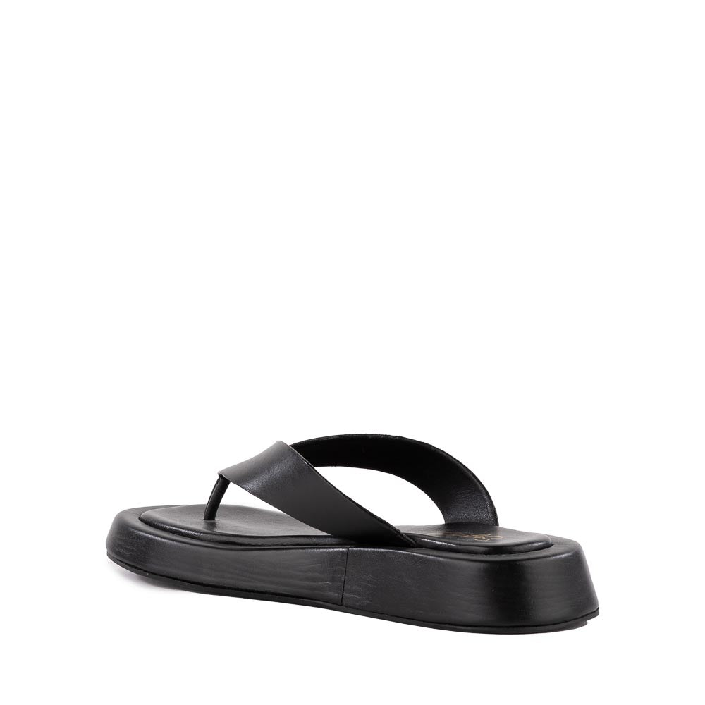 seachel⭐︎ Nautical Sandal – Seychelles Footwear