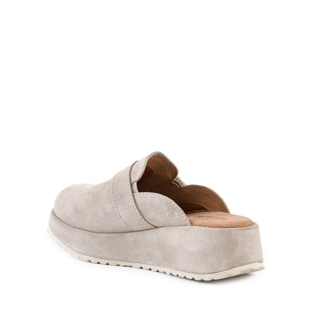 Come Together II Platform Mule