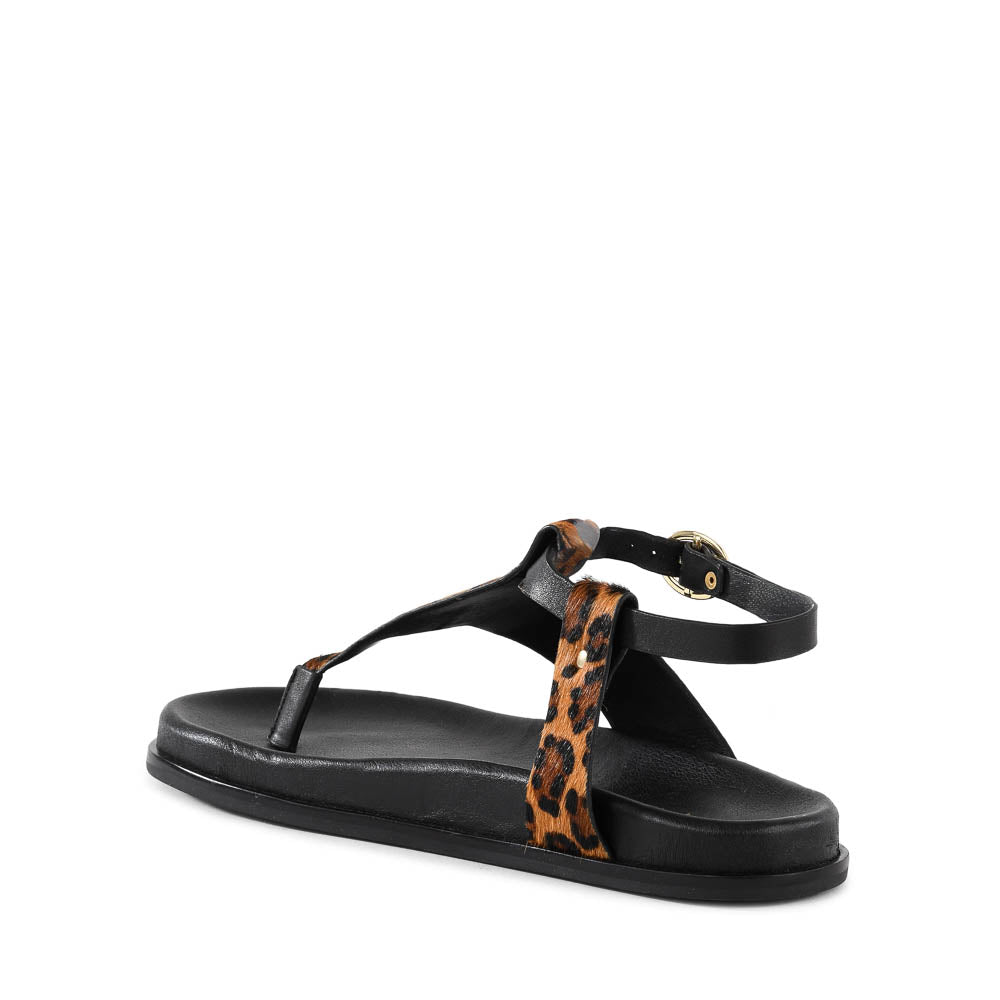 In The Zone Sandal – Seychelles Footwear