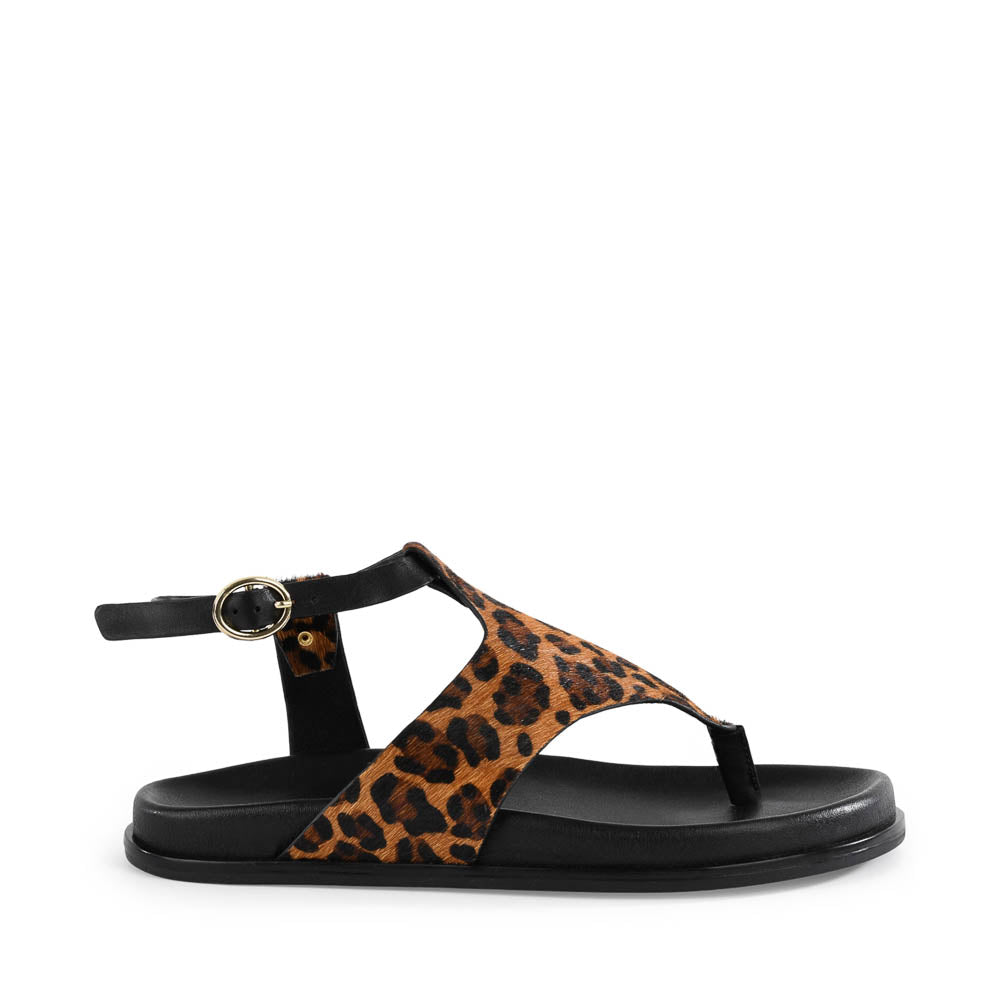 In The Zone Sandal