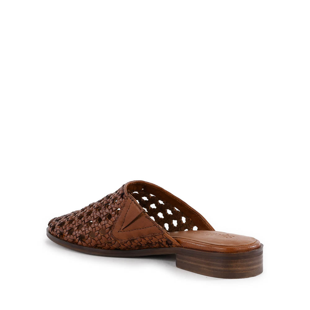 Meet Me Halfway Mule