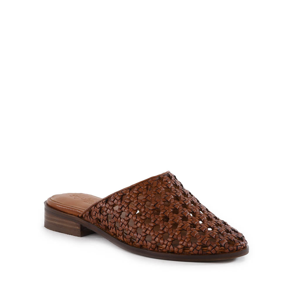 Meet Me Halfway Mule