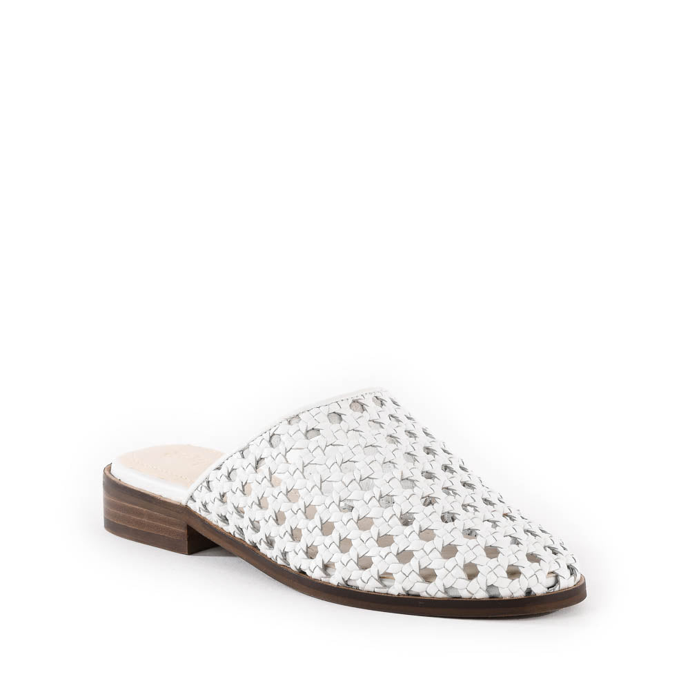 Meet Me Halfway Mule