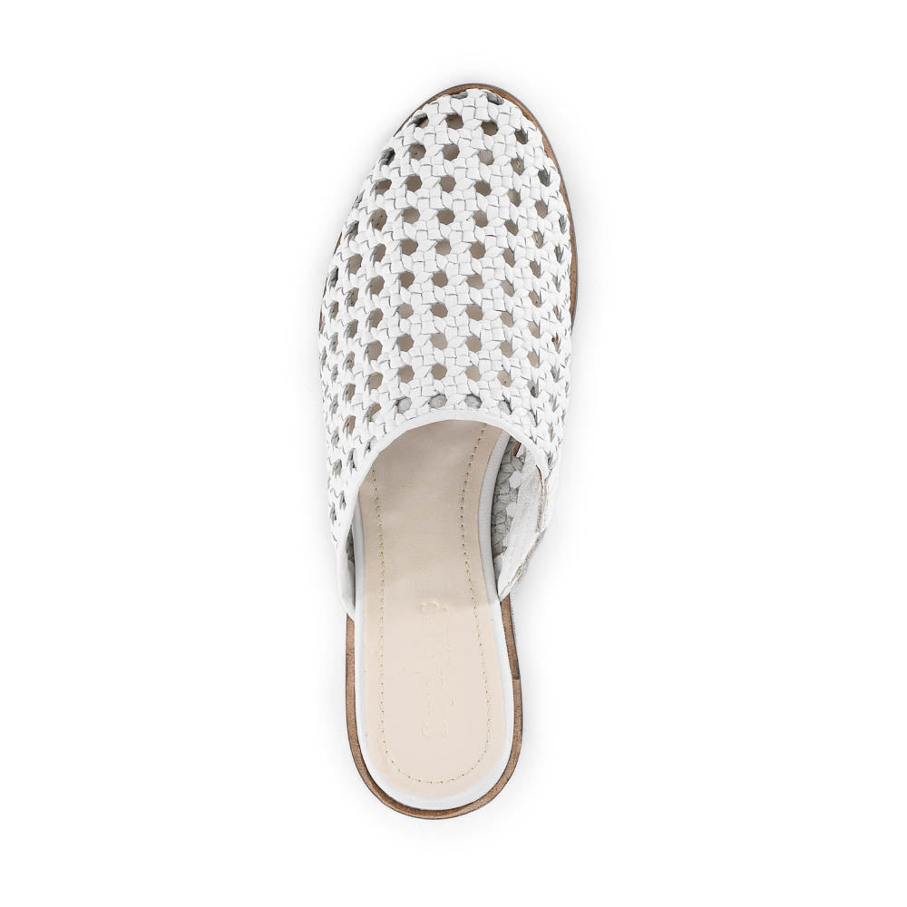 Meet Me Halfway Mule