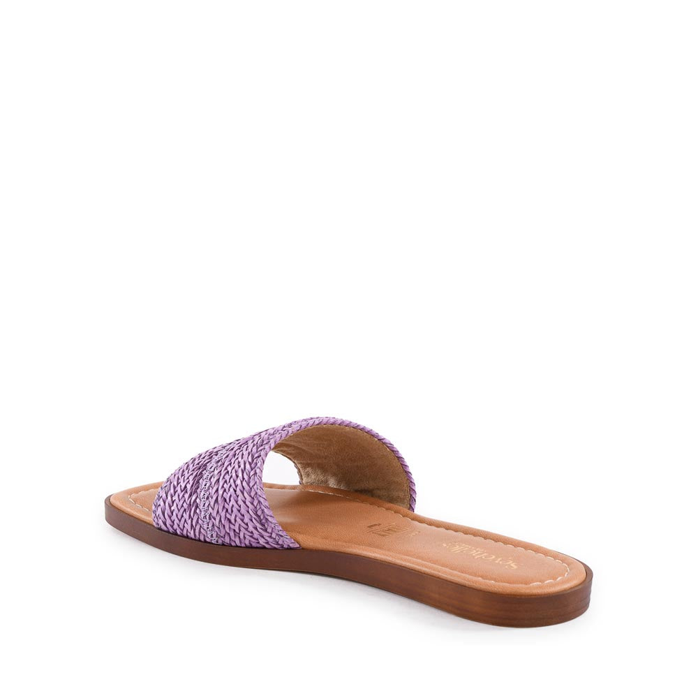Palms Perfection Slide