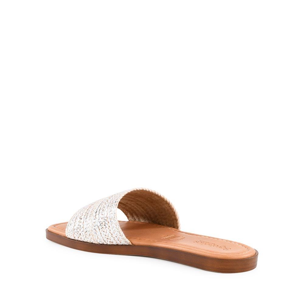 Palms Perfection Slide