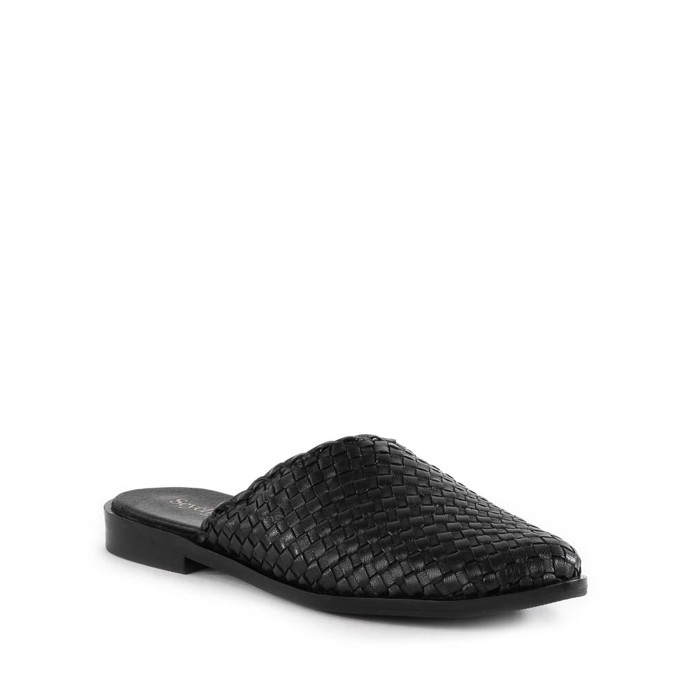 Places To Go II Mule