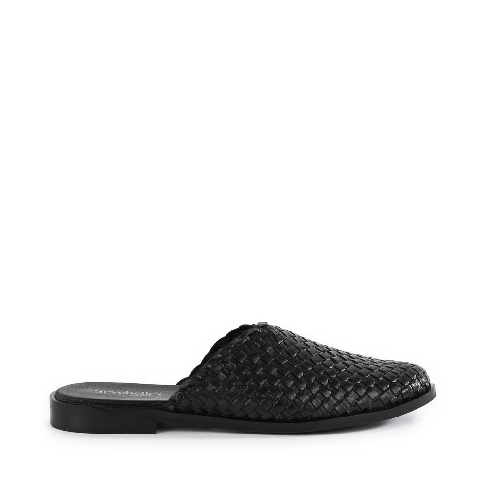 Places To Go II Mule