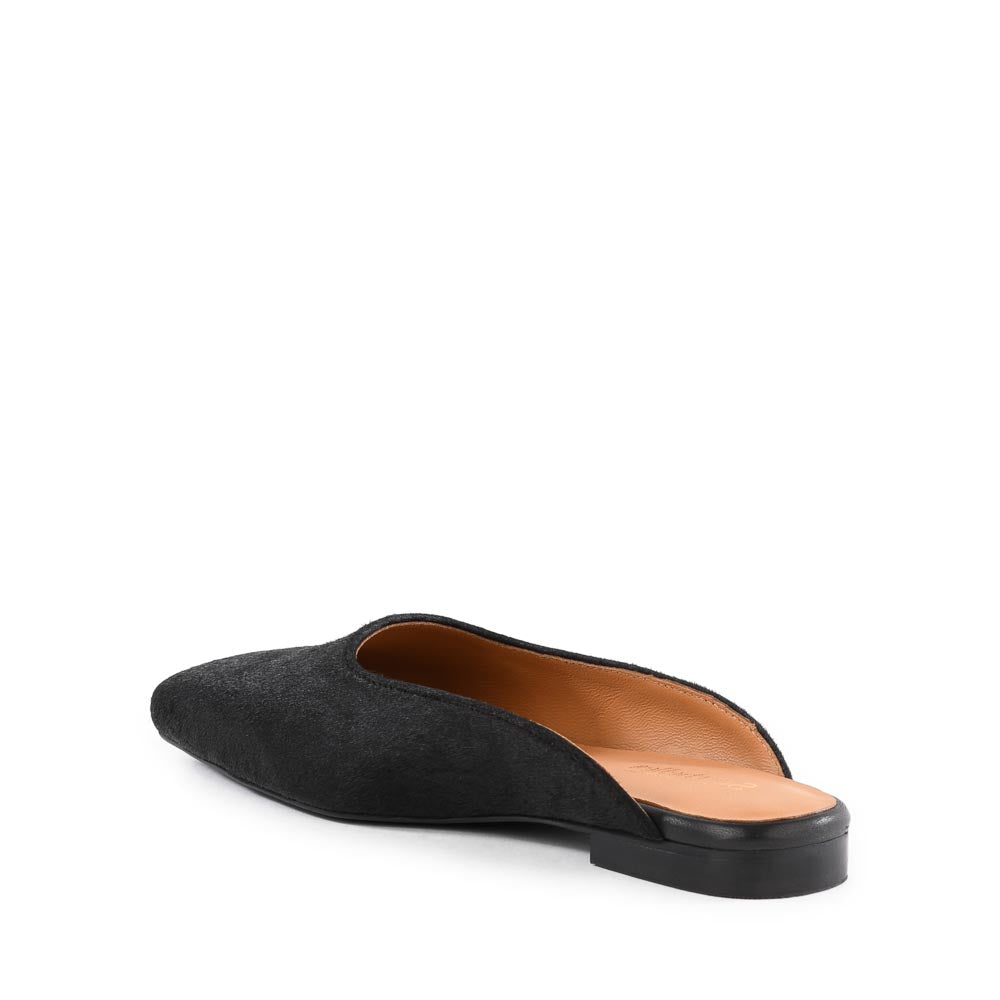 Prim And Proper Mule