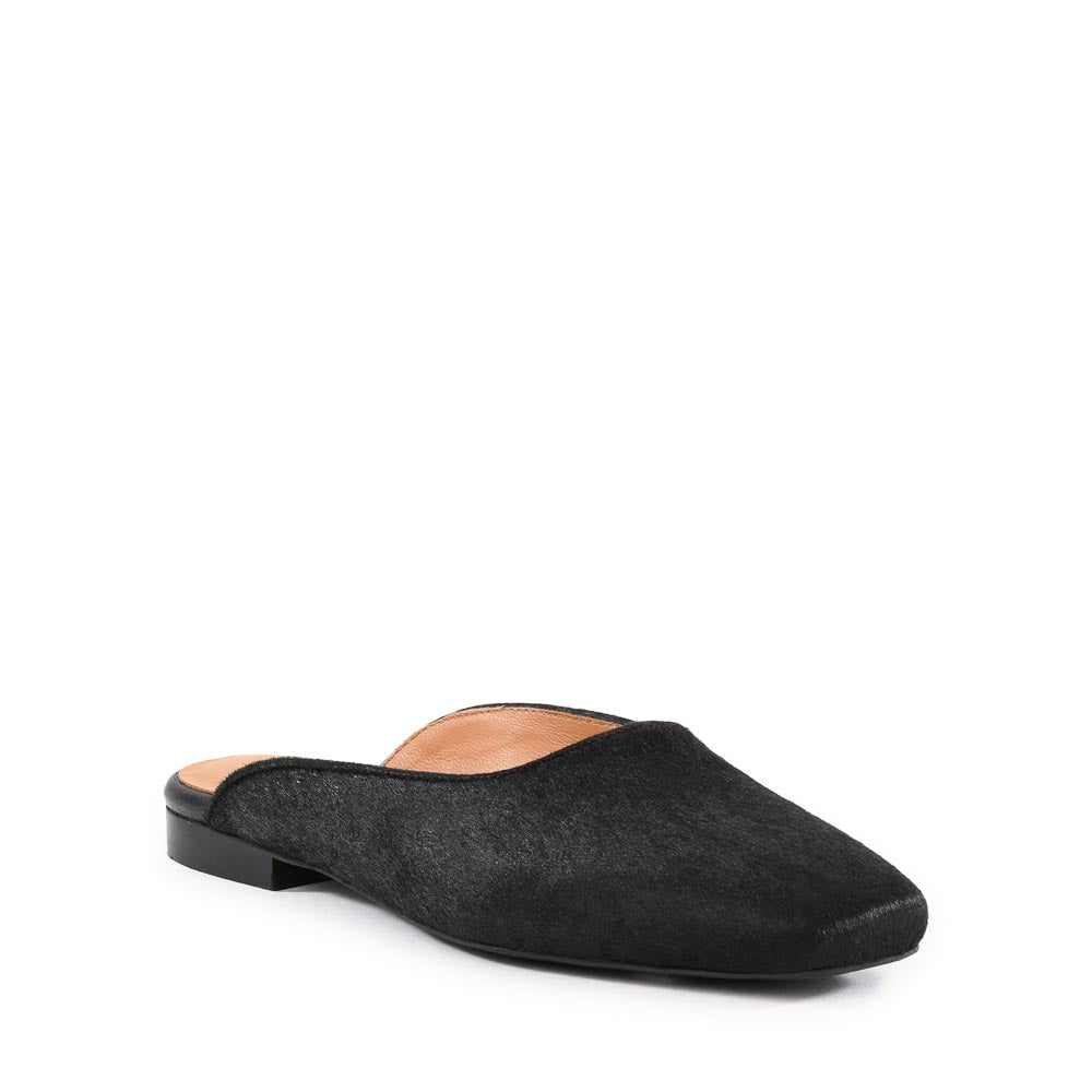 Prim And Proper Mule