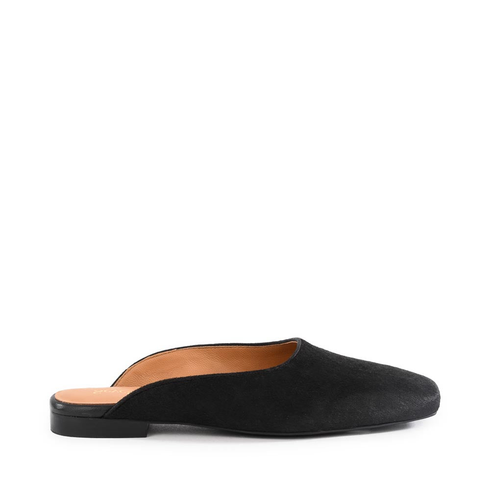 Prim And Proper Mule