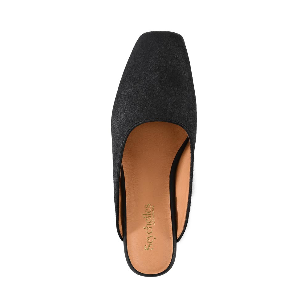Prim And Proper Mule