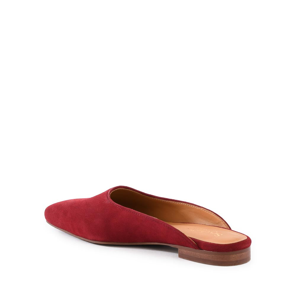 Prim And Proper Mule