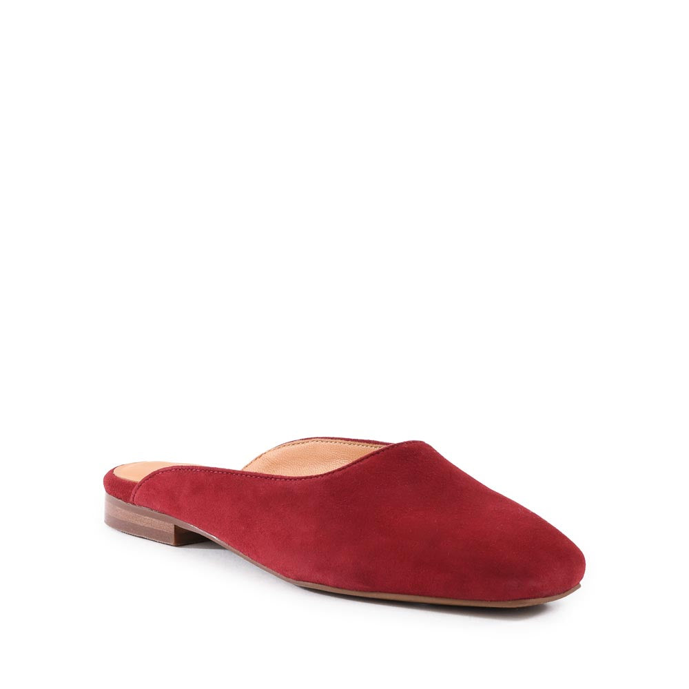 Prim And Proper Mule