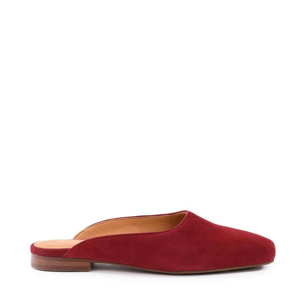 Prim And Proper Mule