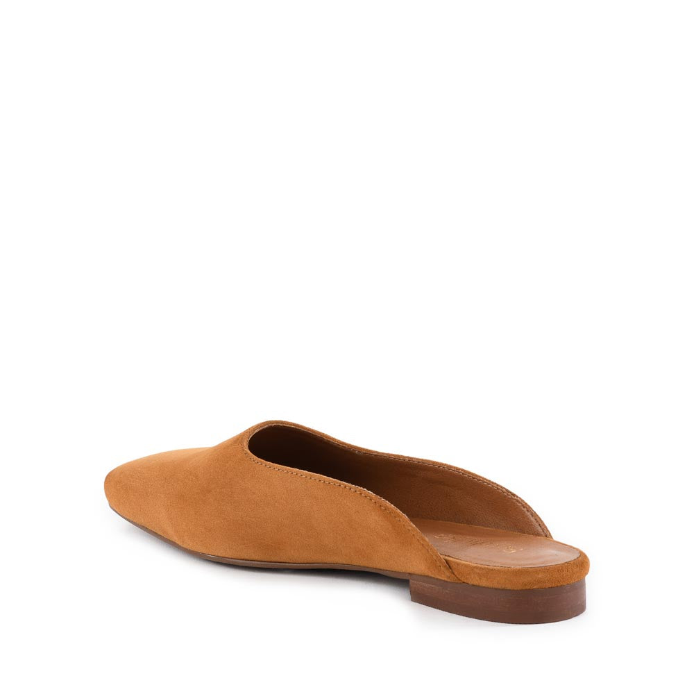Prim And Proper Mule