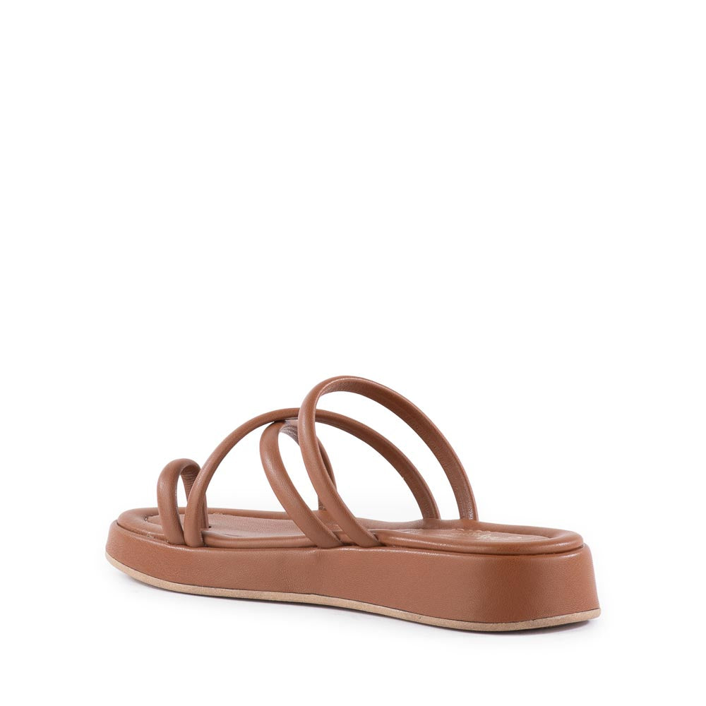 Rule The World Sandal – Seychelles Footwear
