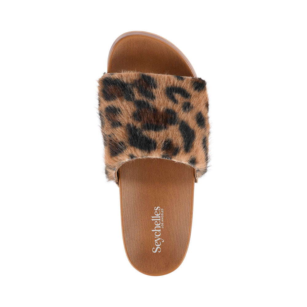 Windswell Sandal